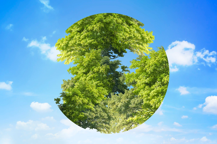 IL Rapporto Di Oxford Economics e SAP Sul Green Gap