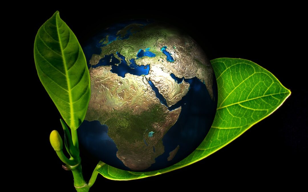 Fattori ESG: quanto sono importanti e perché